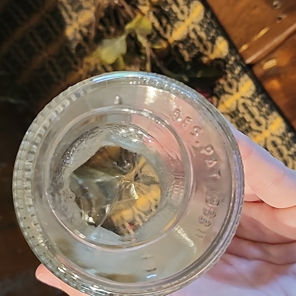 Vintage Glass Jars - Picture 5 of 6